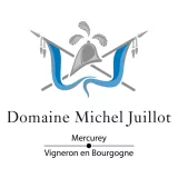 Logo Domaine Michel Juillot